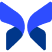 Morpho Protocol